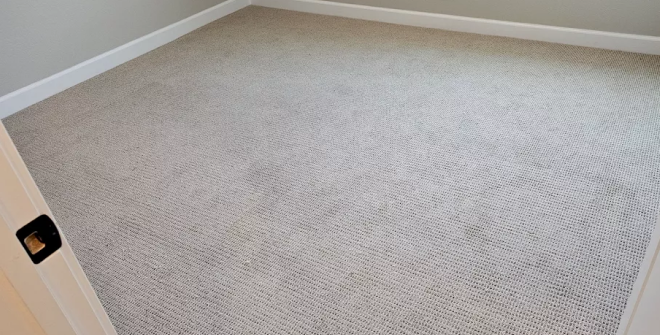 grey carpet in grey room web